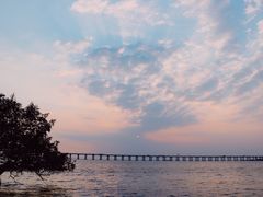 -宝安西湾红树林湿地公园