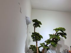 -西江红·株洲本地菜(滨江南路店)