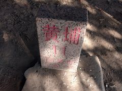 -黄埔油麻山森林公园