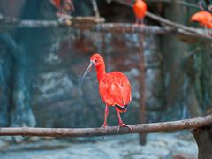 -大连老虎滩海洋公园