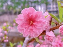 -元大都城垣遗址公园