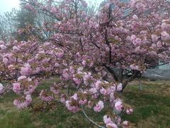 -陕西华浮宫酒店(未央湖公园店)