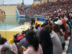 -秦皇岛乐岛海洋王国