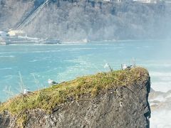 -尼亚加拉瀑布州立公园