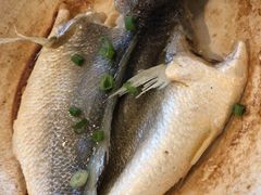 -金杏·粘卷子 烤鸭 农家菜