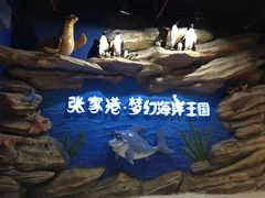 -梦幻海洋王国(吾悦广场张家港店)
