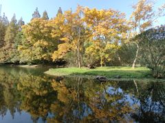 -上海共青森林公园