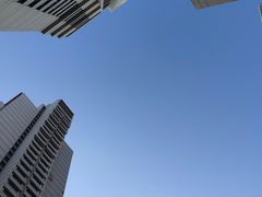 -上海波特曼丽思卡尔顿酒店