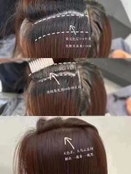 -时尚殿堂salon