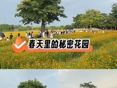 -海珠湖公园