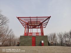 -大望京公园