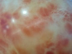 -深圳独角兽星空艺术馆