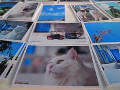 自制明信片-Anne猫窝咖啡屋