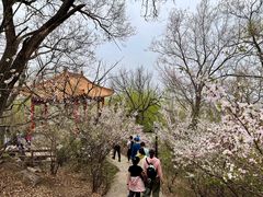 -棋盘山风景区