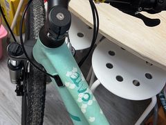 -GIANT捷安特自行车专卖店(金桥台儿庄路店)