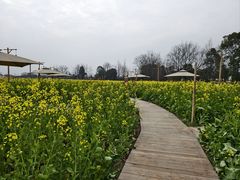 -中国天府农业博览园