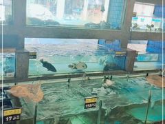 -东城食府·手工点心·37年老字号(虎门店)