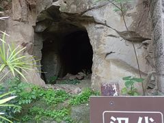 -忠山公园