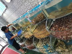 -仙螺岛海鲜自助餐厅(总店)