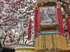 -白家大院·王府宫廷菜(苏州街店)