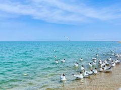 -青海湖国家重点风景名胜区