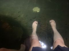 -凤翔首邑温泉度假村