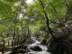 -本溪汤沟绿石谷森林公园