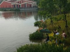 -上海长兴岛郊野公园