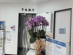 -杭州口腔医院(城西院区)