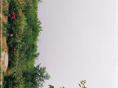 -北京鹫峰国家森林公园