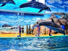 -福州罗源湾海洋世界旅游区