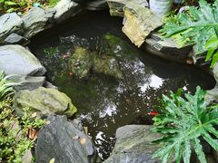 -谷咖啡·鲜花绿植花园餐厅