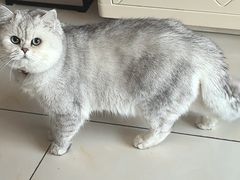 -佑安动物医院·全科·内窥镜中心(幸福巷店)