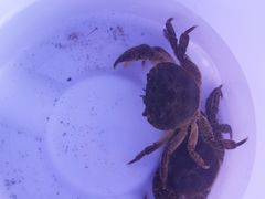 -青城两河漂流
