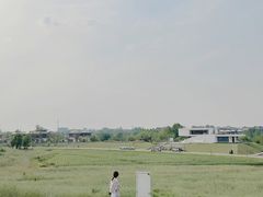 任意门-哼哼农场