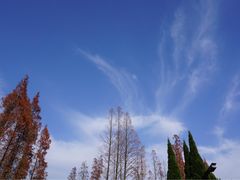 -庐山天沐温泉度假村