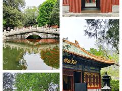 -国家植物园