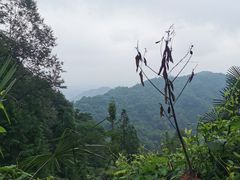 -凤栖山