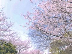 -苏州上方山国家森林公园