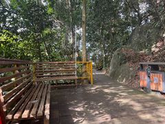 -海南霸王岭国家森林公园