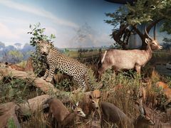 -陕西自然博物馆