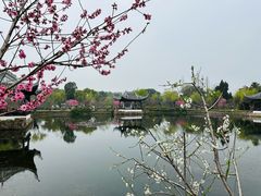 -无锡蠡湖国家湿地公园-蠡园