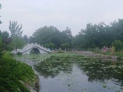 -御林古桑园