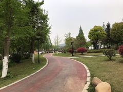 -龙寺生态园