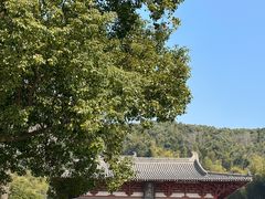 -香山寺