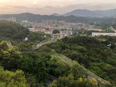 -福道