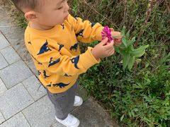 -白塘生态植物园