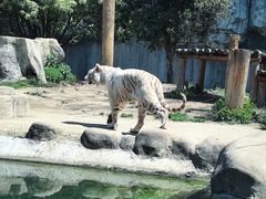 -常州淹城野生动物世界