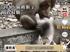 -昆明动物园