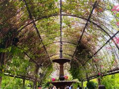 -The Grounds of Alexandria